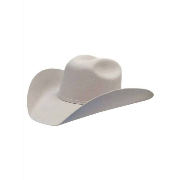 STETSON Other - NEW STETSON men's felt western cowboy hat in silverbelly